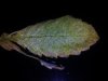 20141207_101335.jpg