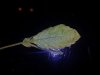20141207_101403.jpg