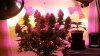 20141207_074833.jpg