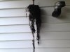 IMG_0470.jpg IMG_0470.jpg