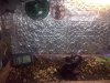 CAM00873.jpg