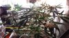 20141206_181643.jpg