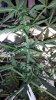 20141206_181711.jpg