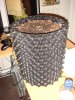 DSC01678.jpg
