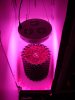 DSC01685.jpg
