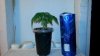 20141210_164045.jpg