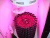 DSC01693.jpg