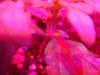 DSC01718.jpg