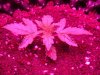 DSC01732.jpg