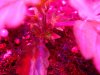DSC01741.jpg