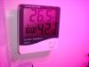 DSC01742.jpg