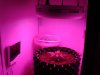 DSC01745.jpg