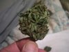 100_3897.jpg