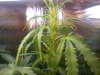 IMG_20120109_190153.jpg