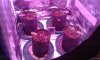 20141214_230717.jpg