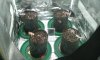20141215_100447.jpg