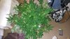 20141215_122831.jpg