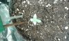 20141217_234533.jpg