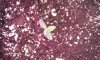 20141217_234447.jpg