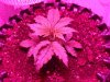 DSC01761.jpg