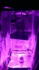 mms_img-738256291.jpg