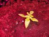 DSC01805.jpg