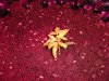 DSC01806.jpg
