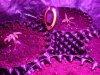 DSC01801.jpg