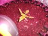 DSC01809.jpg