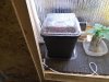 DSC00040.jpg