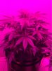 image-702568795.jpg