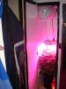DSC01955.jpg