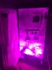2015-01-06 19.20.55.jpg