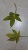 20150107_221855.jpg