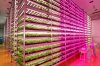 led farm.jpg