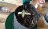 20150110_145513.jpg