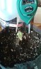 20150110_145543.jpg