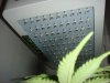 DSC01984.jpg
