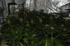 DSC_2596.jpg