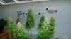DSC07759.jpg