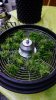 DSC07769.jpg