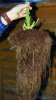 DSC07773.jpg