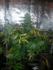 20150112_152818.jpg