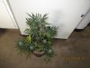 IMG_4619 - Copy.jpg