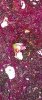 WP_20150115_001.jpg