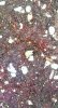 WP_20150115_002.jpg