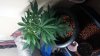 20150117_092736.jpg