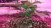 20150117_124911.jpg