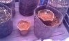 20150118_214015.jpg
