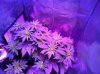 IMG_6188.jpg